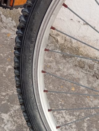 Bicicleta de Montaña