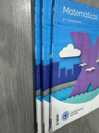 Varios libros cuarto de primaria, Santillana