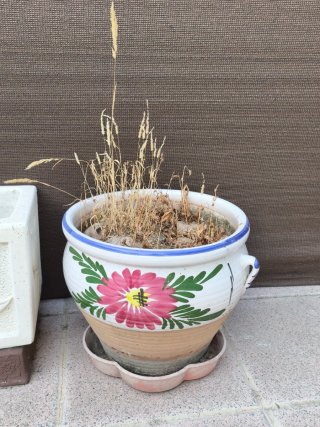 Macetero de cerámica con flor pintada