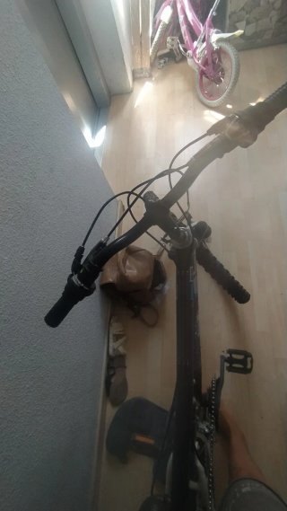 Bicicleta de montaña