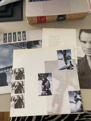 Vinilo de Sting, «The Dream of the Turtles»