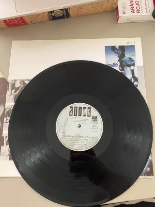Vinilo de Sting, «The Dream of the Turtles»