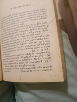 La ciudad de las bestias