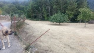 Vendo casa de piedra para  restaurar
