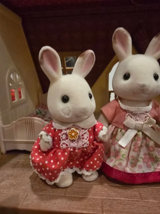 ​Lote Sylvanian Familie:casa de campo y accesorios
