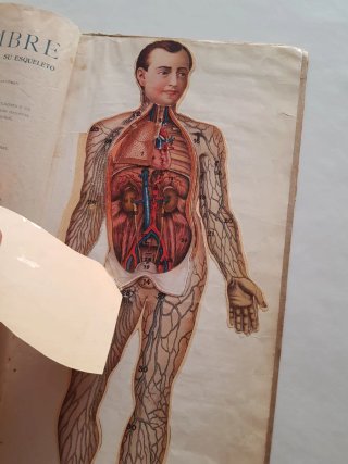 Album elemental de Anatomia del Hombre. Dalmau Car