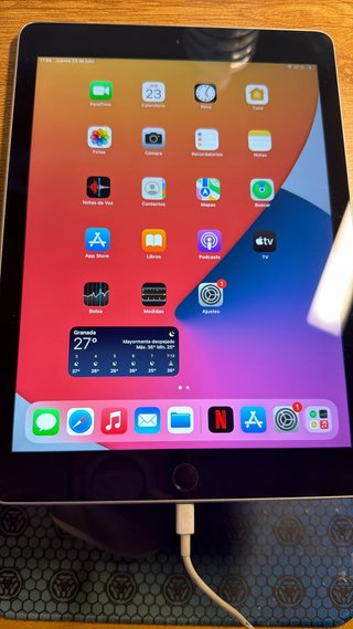 Apple iPad A1893 Plata