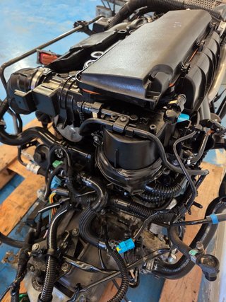 MOTOR COMPLETO Peugeot 206 (1998->)