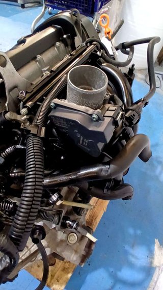 MOTOR COMPLETO Seat Ibiza (6L1)(04.2002->)