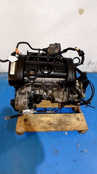 MOTOR COMPLETO Seat Ibiza (6L1)(04.2002->)