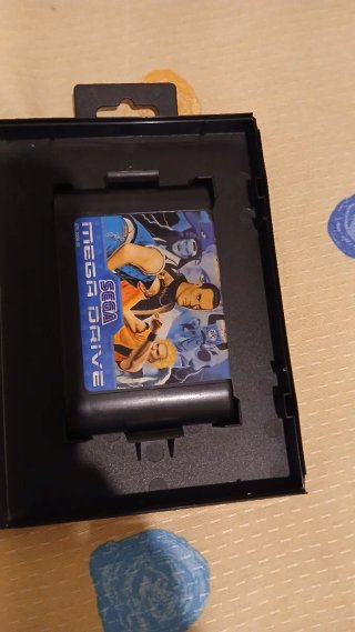 Art of Fighting Sega Mega Drive