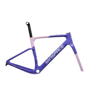 WINSPACE G3 Gravel Frameset (Nuevo)