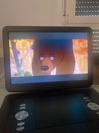 Reproductor DVD Portátil HD Wonnie W-1458