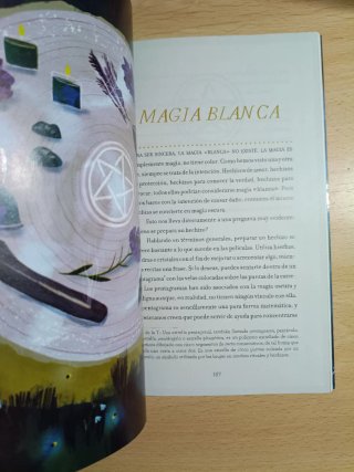 Magia práctica - Nikki Van De Car