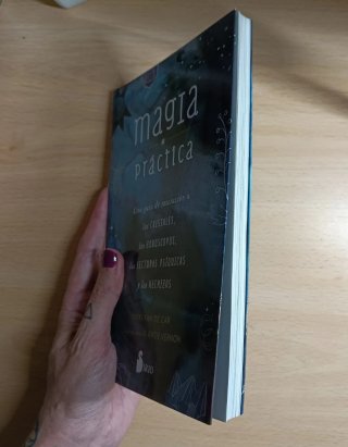 Magia práctica - Nikki Van De Car