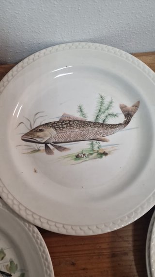 Platos de porcelana con peces marca la pontesa