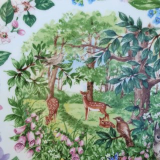 Set 4 Piatti Decorativi Wedgwood, Country Walk