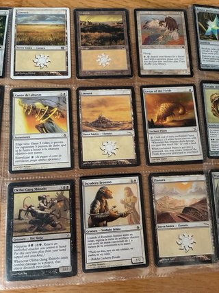 Lote 62 carte Magic: the gathering