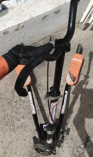 Patinete Swing Scooter Carver Plegable Infantil 3
