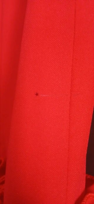 Falda flamenca roja volantes.