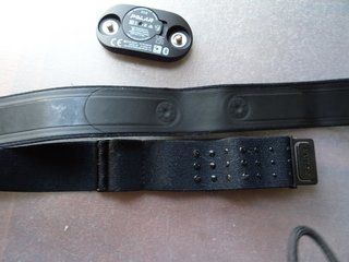 Sensor banda de pecho Polar H10 tamaño M-XXL