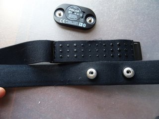 Sensor banda de pecho Polar H10 tamaño M-XXL