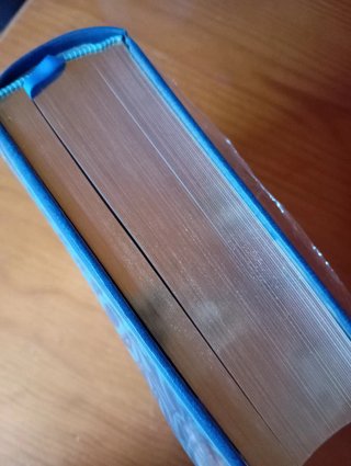 El libro de la Virgen