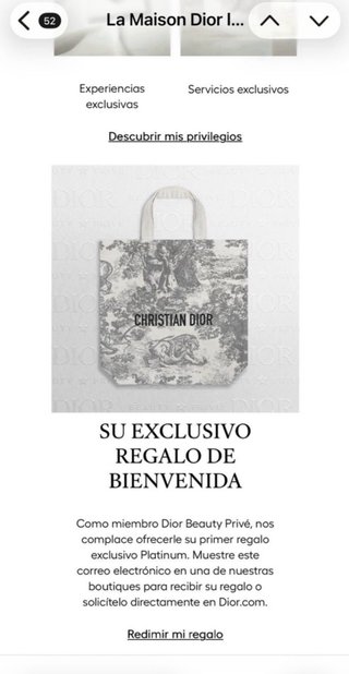 Bolso Dior Edición Limitada + Caja