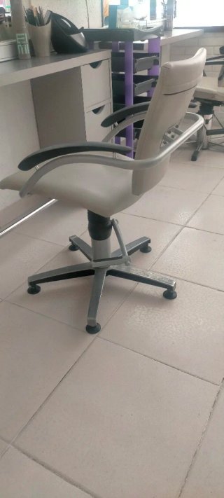 Sillón Peluquería Ajustable