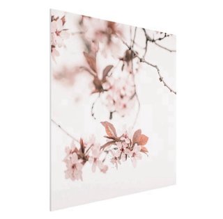 Quadro personalizzato con la tua foto/grafica