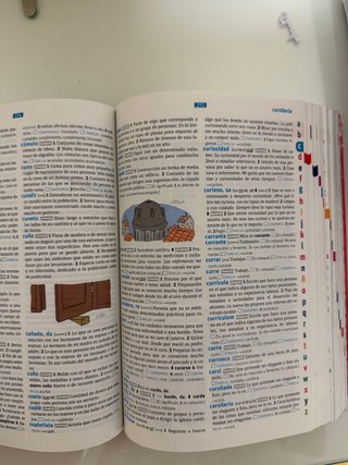 Diccionario perfecto estado