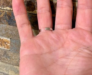 Anillo Vega