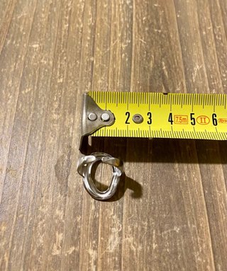 Anillo Vega