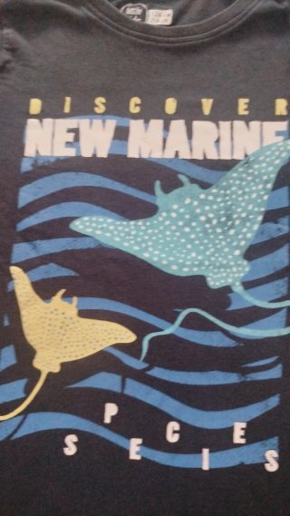 Camiseta niño