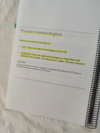 Traducción profesional y académica (4° UNED)