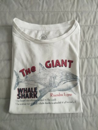 Camiseta niño