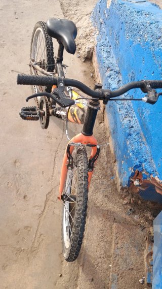 Bicicleta Infantil DENBIKE Naranja/Negra