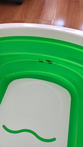 Bañera Plegable Star Ibaby para Bebé