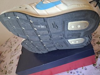 Nike Venture Runner Beige/Azul