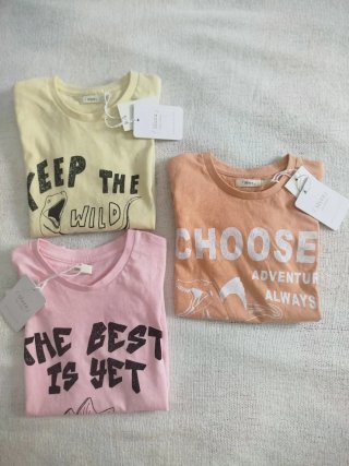 Nuevo. Lote 3 camisetas niño dinosaurios