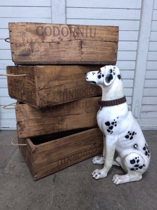 Cajas antiguas Codorniu madera.