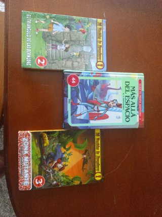 Lote de libros infantiles y juveniles