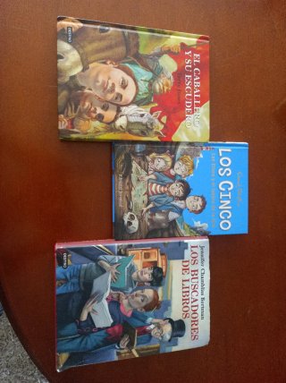 Lote de libros infantiles y juveniles
