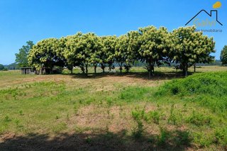 Solar en venta en Abegondo