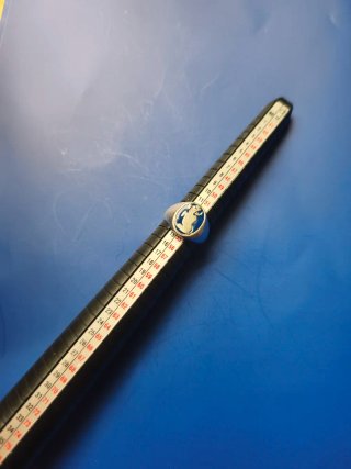 Anillo Plata 925 Sello Animal Azul