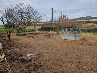 Chalet en venta en Orihuela ciudad en Orihuela