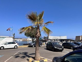 Restaurante en venta en El Puerto - Romanilla en Roquetas de Mar