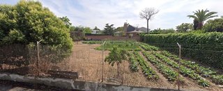 Terreno en venta en El Castillo Campodón en Villaviciosa de Odón