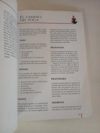 Lecciones de yoga. Guia practica