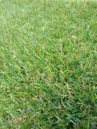 Césped Artificial Siempre Verde